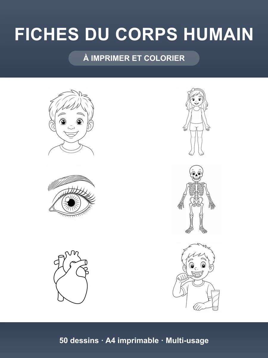Fiches du Corps Humain · 50 Dessins à Colorier et Imprimer