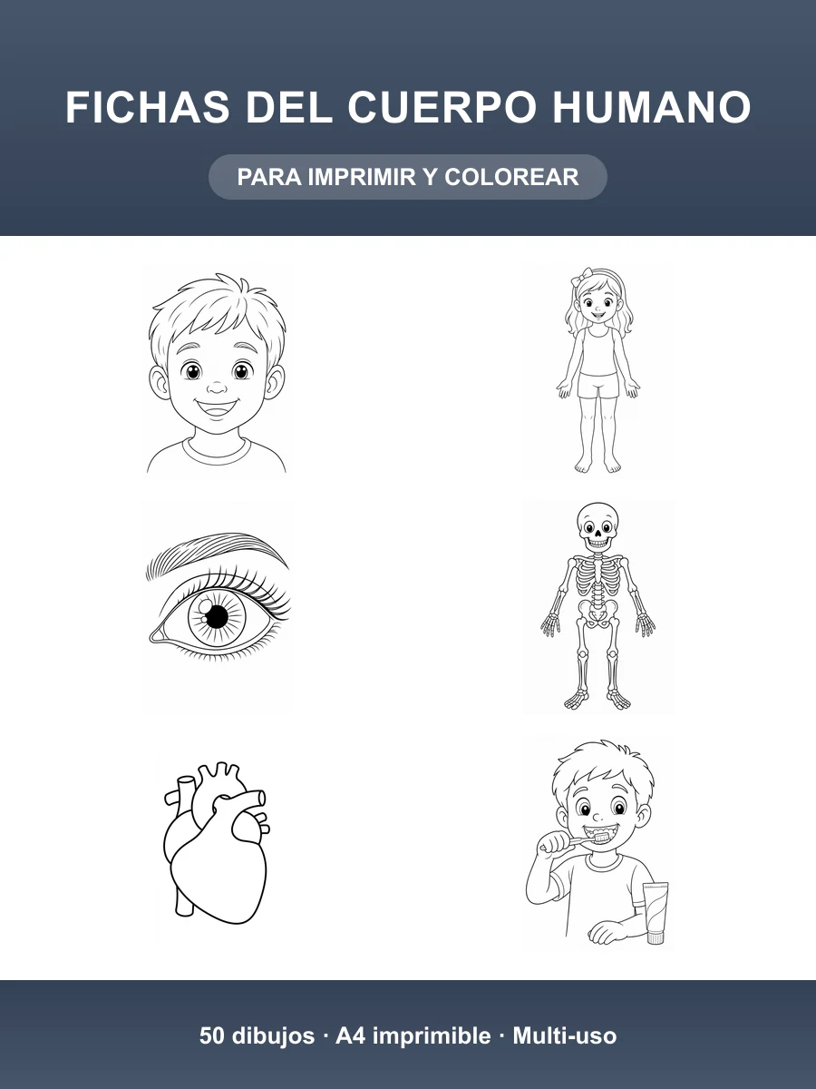 Fichas del Cuerpo Humano · 50 Dibujos para Colorear e Imprimir